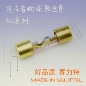 供应AGU汽车音响保险丝管 10x38mm玻璃保险丝管