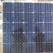 协鑫双玻单晶太阳能组件光伏板出售
