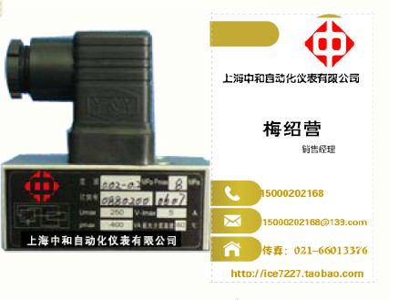 压力球友会官网D5001/8D上海中和自动化仪表