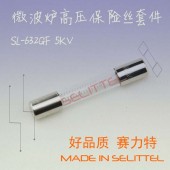 5KV高压保险丝管 微波炉保险丝管 微波设备保险丝管