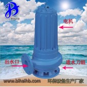 水处理泵 配套污水泵 专业潜水泵 灌溉用泵 电动排污泵
