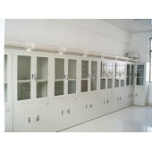 四平实验室全钢结构实验柜，通风药品柜价格