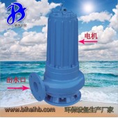 配套污水泵 专业潜水泵 灌溉用泵 电动排污泵WQ15