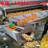 2017供应洗姜机 玛卡马蹄清洗机 xy-1000型 现场试机
