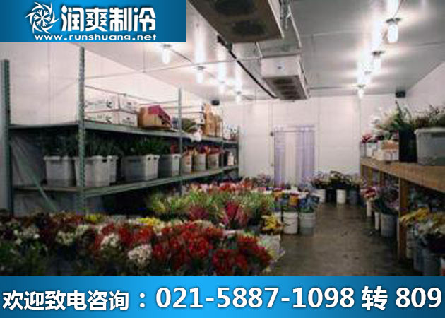 鲜花冷库注意要点有哪些，20平米的鲜花冷库造价？